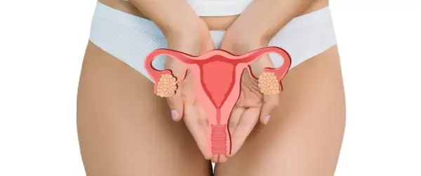 Ilustracja narządów rodnych kobiety z zaznaczonymi jajnikami. Wczesne rozpoznanie raka endometrium objawy są kluczowe dla leczenia.