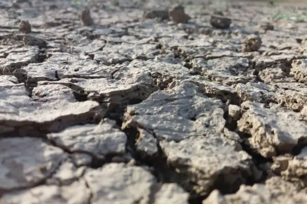 Terreno arido e crepato, un esempio di suolo che necessita di tecniche per come abbassare la salinità del terreno e renderlo fertile.