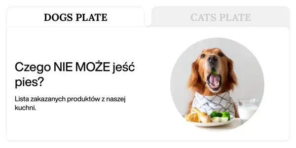 Złoty retriever z brokułem w pysku, obok talerz z jedzeniem i mlekiem. Dowiedz się, czego NIE MOŻE jeść pies.