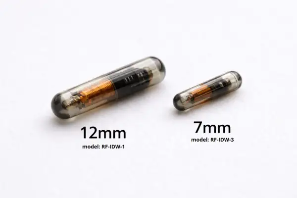 Dwa chipy dla psa: większy 12 mm i mniejszy 7 mm, oba w szklanej kapsułce z widocznym miedzianym uzwojeniem.