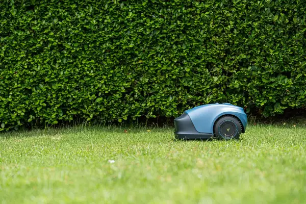 Dlaczego warto mieć robota koszącego?