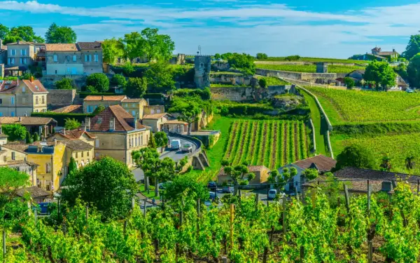 Malownicze winnice i kamienne domy w Bordeaux, gdzie dojrzewa wino.