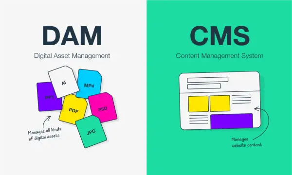 DAM manages all digital assets like PPT, AI, PDF, JPG, PSD, MP4. CMS manages website content.
