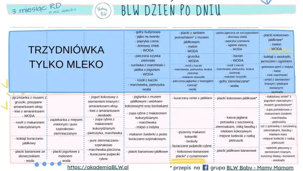 Menu dla 8-miesięcznego dziecka: ile posiłków dla 8 miesięcznego dziecka? Tabela BLW pokazuje różnorodne propozycje.