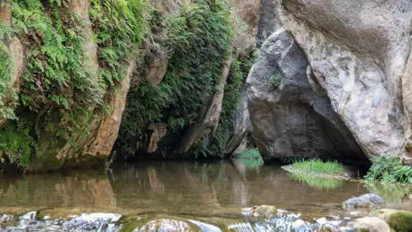 Un remanso de paz entre rocas y vegetación exuberante, un rincón secreto de los **ríos en Almería** donde el agua refleja el verdor.