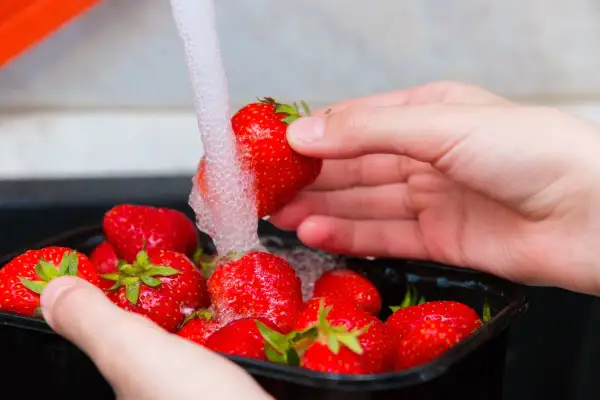 Mani che lavano fragole rosse sotto un getto d'acqua. Un modo semplice per preparare questo delizioso frutto.