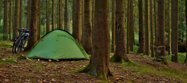 Zielony namiot i rowery czekają na nocne spanie w lesie.
