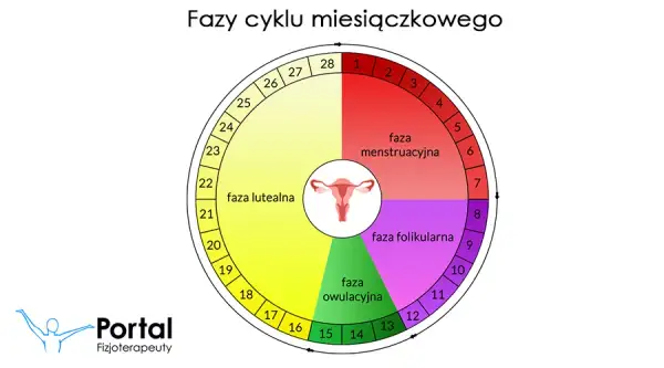 Miesiączka co ile dni? Normy, nieregularności i kiedy do ginekologa