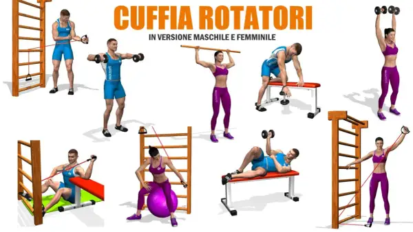 Uomini e donne eseguono esercizi per la cuffia dei rotatori con elastici, manubri e palla fitness.