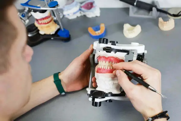 Technik dentystyczny pracuje nad modelem szczęki, wykonując ćwiczenia na przodozgryz.