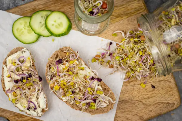 Zwei Brotscheiben mit Frischkäse und bunten Sprossen, die an das Ziehen von Bockshornklee sprossen erinnern. Daneben Gurkenscheiben und ein Glas mit Sprossen.