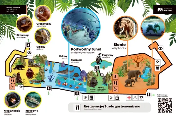 Zoo Łódź zaprasza! Zobacz orangutany, słonie, pingwiny i podwodny tunel. Sprawdź zoo łódź bilety ulgowe.