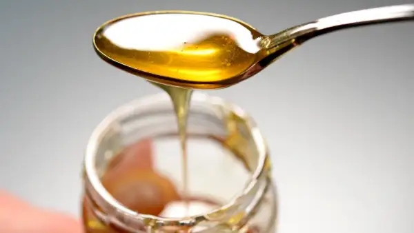 Ein Löffel mit goldenem Honig tropft in ein Glas. Hoffentlich kein schlechter Honig gegessen!