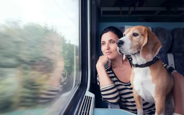 Une femme et son chien beagle regardent par la fenêtre d'un train. La question "peut on prendre le train avec un chien" se pose, et cette image montre que c'est possible.