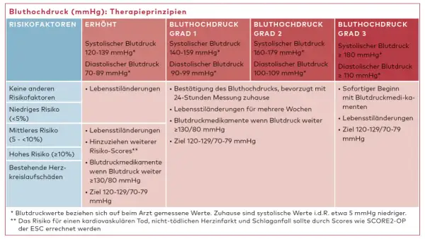 Tabelle zeigt Therapieprinzipien bei Bluthochdruck. Lebensstiländerungen, wie z.B. durch Salbei, können den Blutdruck senken.