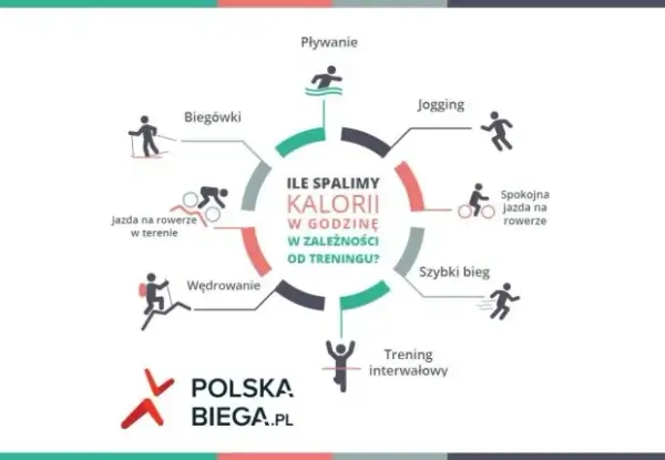 Które cardio spala najwięcej kalorii? Ranking i porady eksperta