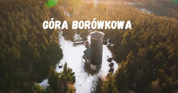 Jak dojść na Borówkową Górę - łatwe trasy i przydatne wskazówki