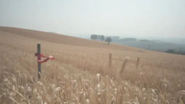 Ile kosztuje metr kwadratowy działki budowlanej? Ceny w Polsce 2024