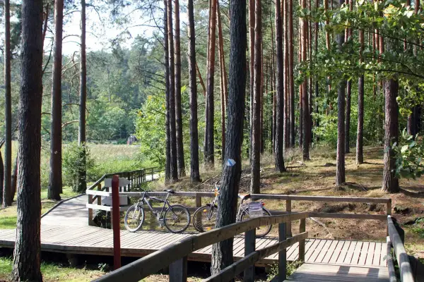 Drewniane kładki i dwa rowery na ścieżce w lesie. Idealne miejsce na odkrywanie tras rowerowych Zwierzyniec.