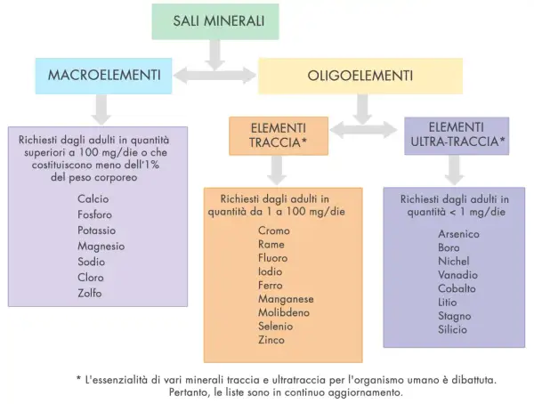 Schema sui sali minerali: macroelementi, oligoelementi, elementi traccia e ultra-traccia, con esempi di minerali essenziali per l'organismo.