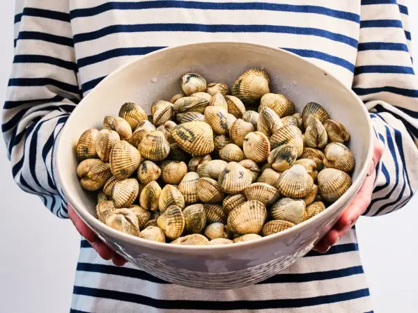 Un bol rempli de coques coquillage, prêt à être cuisiné. Les coquillages sont disposés dans un bol en céramique, tenus par une personne portant un pull rayé bleu et blanc.