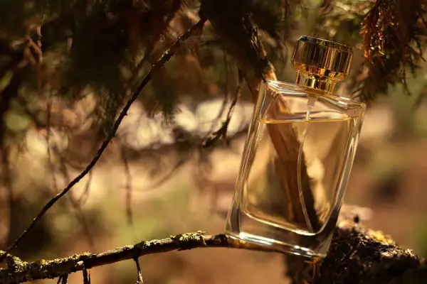 Szklana buteleczka perfum z płynem w kolorze złota, oparta o gałąź drzewa. Czy tak pachnie drzewo sandałowe?