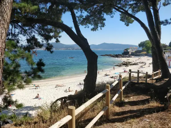 Disfruta del sol en la playa de los olmos vigo, con arena blanca, aguas cristalinas y gente relajándose bajo los pinos.
