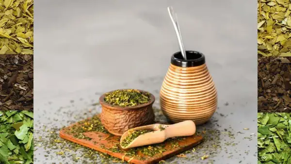 Naczynie do yerba mate, drewniana łopatka z suszem i bombilla. Ile herbat dziennie? To zależy od Ciebie!