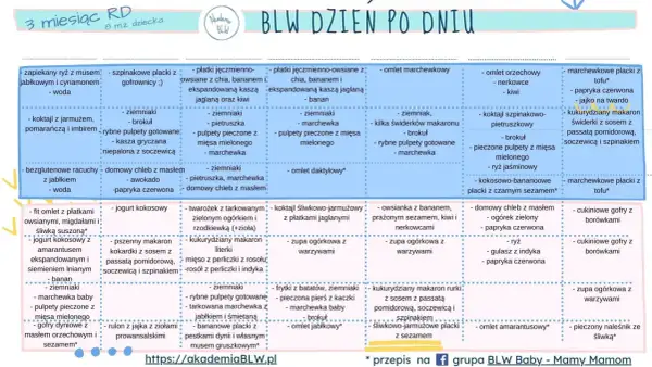 Tabela żywienia 7-miesięcznego dziecka: propozycje posiłków na każdy dzień, w tym omlety, placki i zupy.