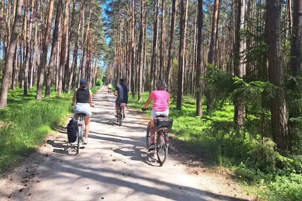 Rodzina przemierza malownicze **trasy rowerowe Wielkopolska** w sosnowym lesie.