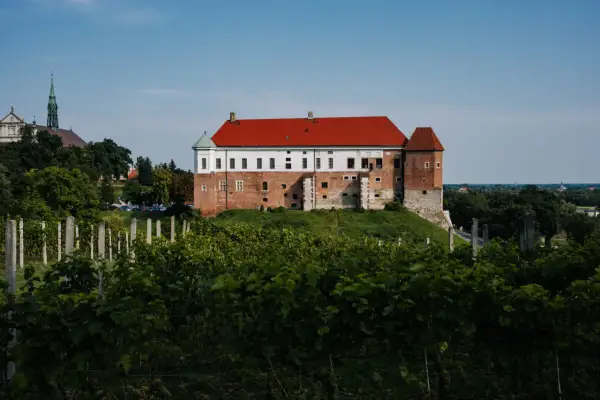 Co zjeść w Sandomierzu? Najlepsze potrawy i miejsca do spróbowania
