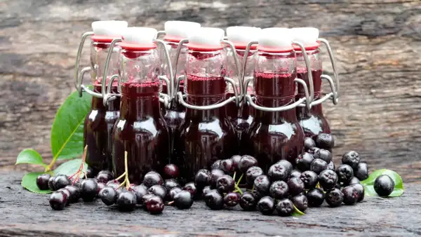 Aronia-Saft in Bügelverschlussflaschen, frisch geerntete Aroniabeeren daneben. So lassen sich Aroniabeeren verarbeiten.