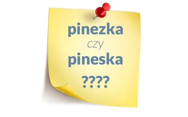Żółta kartka z napisem "pinezka czy pineska ????", przyczepiona czerwoną pinezką.