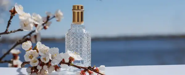 Woda toaletowa czy perfumowana - co wybrać, by nie żałować?