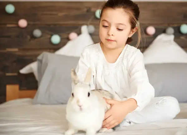 Ile kosztuje królik w zoologicznym? Ceny, które mogą Cię zaskoczyć
