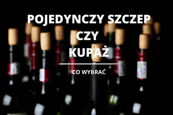 Winnice oferują wybór między winem z pojedynczej odmiany a kupażem. Co wybrać?