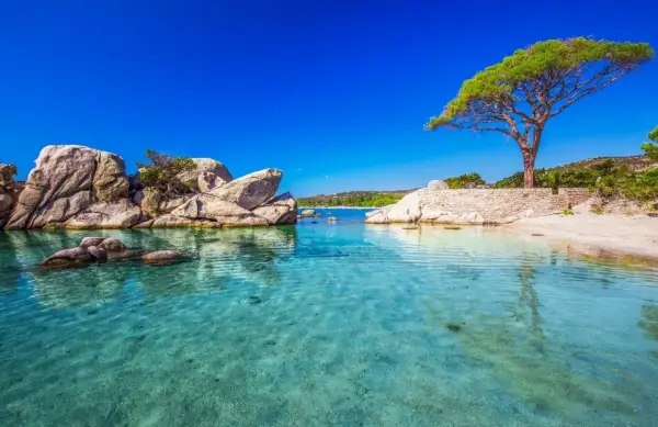 Klares, türkises Wasser an einem Strand mit Felsen und einem Baum. Ein Ort, wo es Ende Oktober noch warm ist.