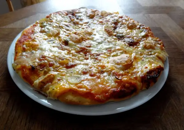 Pizza appétissante sur une assiette blanche, garnie de fromage fondu et d'oignons. Une recette facile de pâte levée rapide pour un repas gourmand.
