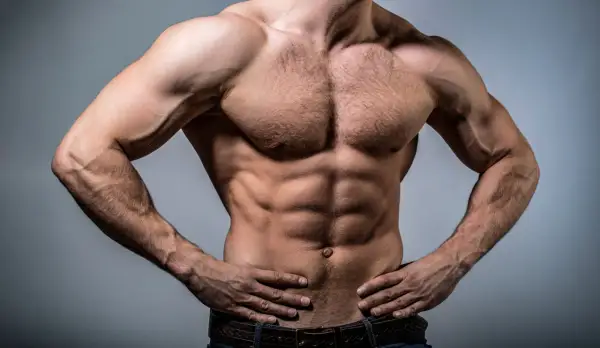 Torso maschile scolpito, con addominali definiti e pettorali possenti. Un esempio di **massa definizione** raggiunta con duro allenamento.