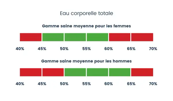 Barres illustrant le pourcentage d'eau dans le corps : une gamme saine pour les femmes (45-60%) et pour les hommes (40-65%).