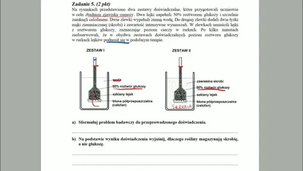Zjawisko osmozy: Jak działa i dlaczego jest kluczowe w biologii?