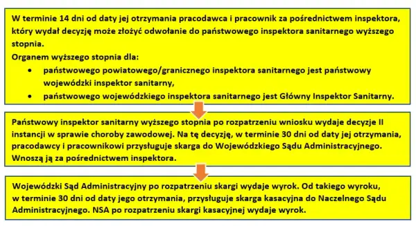 Jak wypełnić wniosek o chorobę zawodową i uniknąć błędów?