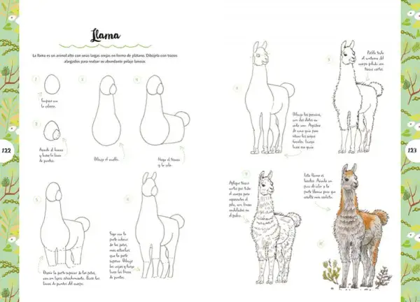 Instrucciones paso a paso para dibujar llamas, ideales como animales para dibujar fáciles.