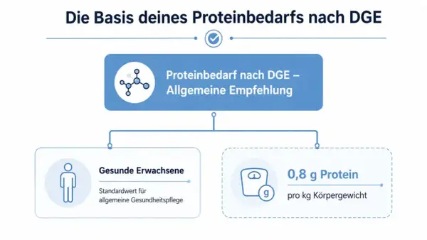 Empfehlung der DGE: 0,8 g Protein pro kg Körpergewicht für gesunde Erwachsene.