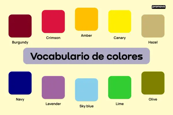 Vocabulario de colores en inglés: Burgundy, Crimson, Amber, Canary, Hazel, Navy, Lavender, Sky blue, Lime, Olive.