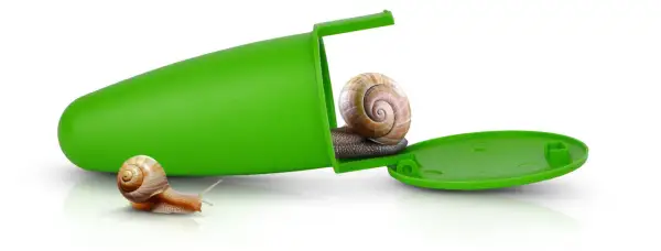 Zielona pułapka na ślimaki z dwoma ślimakami. Jeden ślimak wychodzi z pułapki, drugi czeka na zewnątrz.