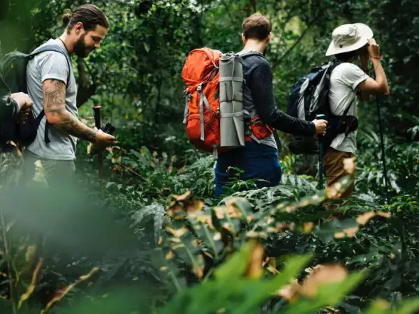 Drei thru hiker wandern durch einen dichten, grünen Dschungel. Einer hält eine Kamera, ein anderer schaut sich um.