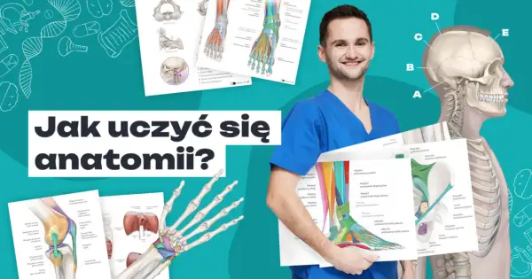Nauka anatomii: Zdałem! Skuteczne metody i aplikacje 3D