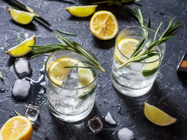Två glas med gin och tonic, is, citron- och limeklyftor samt rosmarinkvistar på en mörk yta.