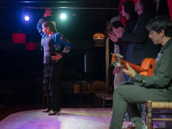 Una bailaora de flamenco, con su falda de flecos y chaqueta bordada, cautiva al público. A su lado, músicos y palmeros acompañan con pasión.